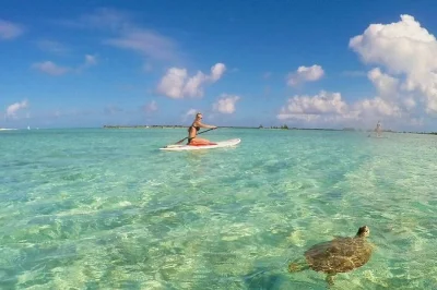 Feel the calm of turks & caicos as you paddleboard or kayak through shallow waters, spot wild turtles, and learn from local eco guides. includes park fees and lesson.