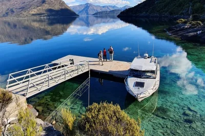 Descubre mou waho desde el lago wanaka, avista el raro buff weka, disfruta una caminata guiada y té con vistas al lago, y planta un árbol nativo. incluye recogida.
