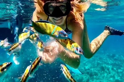 Nade em cavernas, faça snorkel nas ruínas romanas e aproveite um aperitivo local no passeio de barco entre tropea e capo vaticano. equipamento, vinho e skipper experiente incluídos.