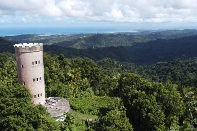 Descubre el yunque desde san juan con una caminata guiada, sube a la torre mt britton y disfruta vistas al atlántico. incluye recogida en hotel y grupos pequeños.