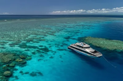 Port douglas, great barrier reef, snorkeling e immersioni in 3 siti di agincourt reef con equipaggio locale, pranzo tropicale a buffet e trasferimento in hotel incluso. tour guidato di snorkeling incl