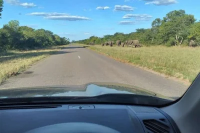 Arrive at victoria falls with ease—private airport transfer, hotel pickup, and local wildlife views along the way. book now for a smooth, comfortable ride.