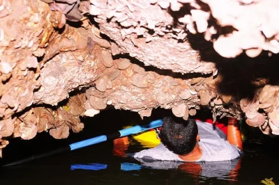 Explora la bahía de phang nga de noche en kayak, descubre cuevas de piedra caliza y disfruta de una cena buffet tailandesa. incluye recogida en hotel y todo el equipo. reserva ya.