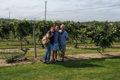 Entdecke niagaras weinregion bei einer kleinen gruppe mit verkostungen, abholung in niagara falls ny und einem sympathischen lokalen guide.