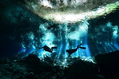 Vivi l’emozione di due immersioni guidate al cenote dos ojos vicino a tulum, con attrezzatura completa, trasporto e snack inclusi. gruppi piccoli e guide esperte.