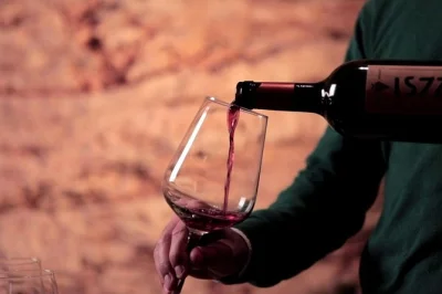 Découvrez le musée du vin frrud à altamura avec une dégustation guidée accompagnée de fromages régionaux, focaccia et trois vins. entrée et guide local inclus.