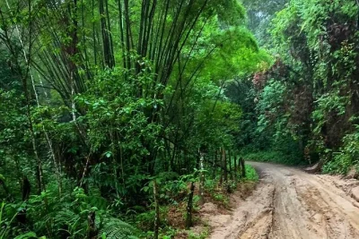 Start your day in santa marta, hike to minca’s waterfalls, taste fresh coffee & cocoa, and enjoy a bamboo house lunch—all with a local guide and private transport.