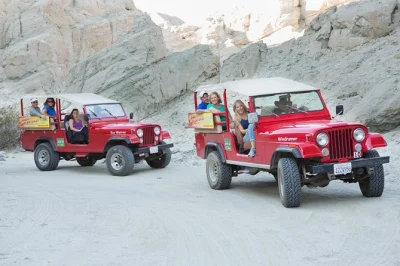 Scopri la geologia unica della faglia di san andreas con un tour in jeep a palm desert, cammina tra canyon stretti, esplora un’oasi di palme e immergiti nella cultura cahuilla. incluso il pickup.