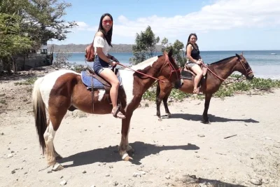 Scopri playa conchal a cavallo sulla sabbia di conchiglie, osserva scimmie e uccelli con una guida locale autorizzata. orari flessibili e tour personalizzato.