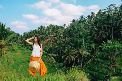 Explore ubud em um passeio privativo por bali: floresta dos macacos, templo tirta empul, terraços de arroz de tegalalang e cachoeira tegenungan. transporte incluso.