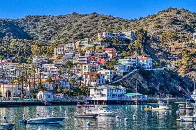 Feel the charm of avalon on catalina island with a guided scenic drive, local stories, and hilltop views. includes pickup and live commentary from your driver.