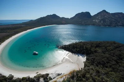 Descubre la costa salvaje de freycinet en un crucero de 4.5 horas desde coles bay. disfruta de vistas cercanas de fauna, guía local y almuerzo incluido. accesible para sillas de ruedas.