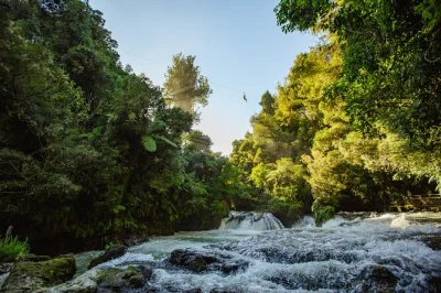 Vola sopra il fiume kaituna a rotorua, attraversa cascate in zipline, cammina tra foreste antiche e assapora il tè māori. foto gratis e piantumazione di alberi inclusi.