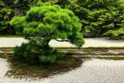 Entra nei giardini di nanzen-ji a kyoto con un paesaggista locale, scopri le storie dietro l’arte zen e passeggia tra i sentieri del tempio in piccolo gruppo con guida inclusa.