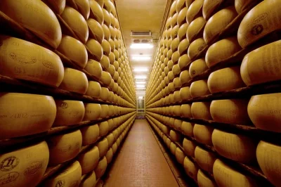 Savor parma’s cheese & ham traditions on a private gourmet tour. taste fresh parmigiano-reggiano, visit a family-run prosciutto factory, and travel with a local guide—includes pickup.