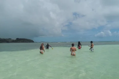 Float at la baignoire de joséphine, swim off islets, taste creole dishes and fresh fruit on this martinique day trip with local crew. includes drinks & lunch.