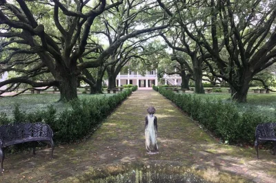 Erlebe die geschichte hautnah auf der whitney plantation tour ab new orleans mit hoteltransfer und lokalem guide. entdecke historische plantagen und die sümpfe louisianas.