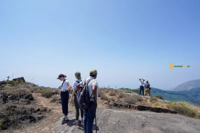 Explore as plantações de chá de munnar, suba até mirantes panorâmicos e prove especiarias locais. caminhada guiada de meio período com lanches, água e todas as taxas inclusas.