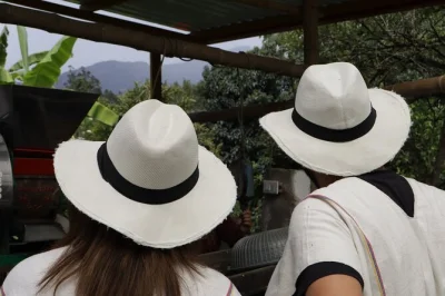 Step into colombia’s andean hills on a bogotá coffee farm tour, join campesina hosts for breakfast, hand-pick beans, and taste fresh brews. includes pickup & lunch.