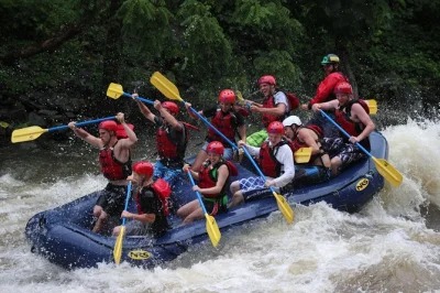 Feel the rush on a white water rafting trip down the upper pigeon river in tennessee, with all equipment included and a local guide. includes short shuttle ride.