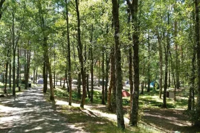 Lamas de mouro, aventura nas copas das árvores com 8 pontes suspensas, subida de 10 metros e tirolesa de 80 metros, tudo com guia e segurança garantida.