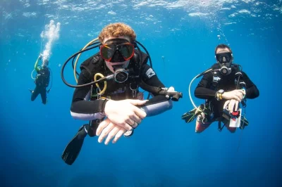 Viva a emoção do seu primeiro mergulho em kauai com instrutores padi. grupos pequenos, encontro com tartarugas marinhas, equipamento completo incluso. reserve direto com dive kauai.