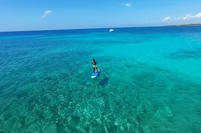 Navegue de puerto aventuras até a baía de paamul em um catamarã de 40’, com bar aberto, snorkel, praia e ceviche fresquinho. inclui equipamento, almoço e bebidas.