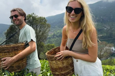 Feel the cool mist at ramboda falls, walk tea fields near nuwara eliya, taste fresh ceylon tea, and explore markets—includes pickup and local guide.