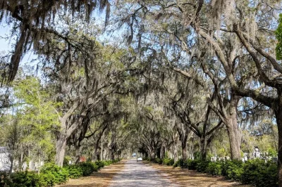 Découvrez savannah à travers une visite privée du quartier historique, des maisons victoriennes et du cimetière bonaventure, avec transport climatisé et guide local.
