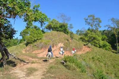 Découvrez la fortuna à cheval dans un ranch familial, baladez-vous avec don juan et randall, randonnez en pleine jungle, observez la faune, et savourez un déjeuner costaricien face à la forêt. tr