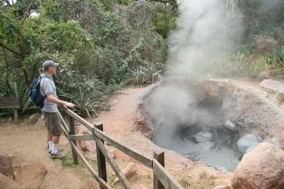 Scopri i sentieri vulcanici di rincon de la vieja, nuota sotto la cascata oropendola e rilassati nelle terme naturali di rio negro. include pick-up, pranzo e guida locale.