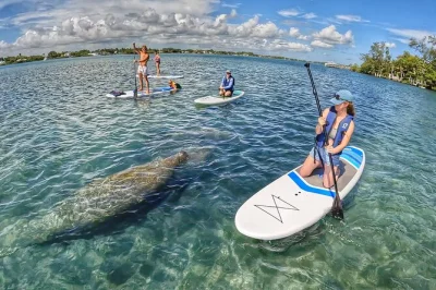 Feel the calm of jupiter’s waterways on a guided paddle board eco tour, spotting dolphins and manatees with a master naturalist. all gear and photos included.