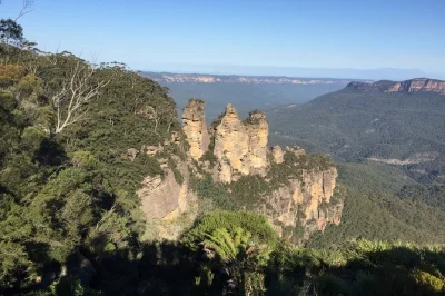 Découvrez la brume fraîche des wentworth falls, rencontrez des koalas au featherdale wildlife park et flânez dans les rues artistiques de leura lors d’une excursion privée dans les blue mountain