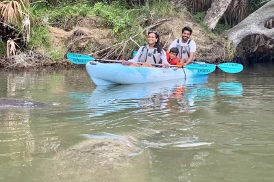 Découvrez la magie du kayak sur le canal haulover, entouré de lamantins, dauphins et oiseaux sauvages. kayak ou paddle, guide en petit groupe, photos et matériel inclus.