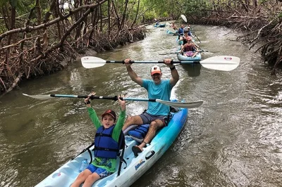 Découvrez la tranquillité de rookery bay en kayak à travers les tunnels de mangroves, observez la faune avec un guide biologiste et repartez avec vos photos. accessible à tous, idéal en famille.