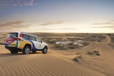 Feel the rush of a dubai desert safari with dune bashing, camel rides, and a bbq buffet under the stars. includes hotel pickup, live shows, and local guide.