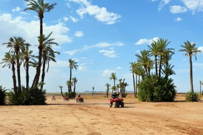 Feel the grit of marrakech’s desert trails on a quad bike, ride through palm groves, and share tea with a berber family. includes pickup, guide, and snacks.
