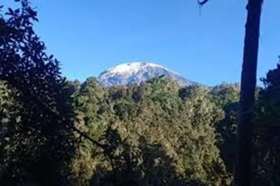 Start your kilimanjaro day trip from moshi with a local guide, hike the marangu route through rainforest, spot monkeys, and enjoy lunch at mandara hut. includes pickup.