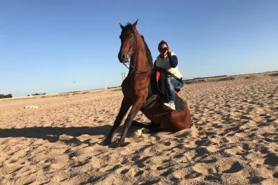 Scopri la magia di cavalcare lungo il mar rosso e il deserto vicino a sharm el sheikh, con transfer dall’hotel, guida locale e orari flessibili per tutti i livelli.