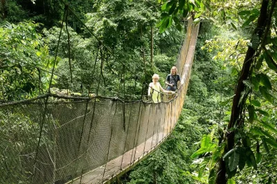 Explorez les sentiers de la forêt tropicale, traversez des ponts suspendus et nagez sous les cascades du parc rainmaker près de manuel antonio. transport privé et guide local inclus.