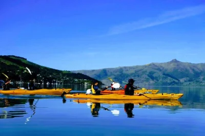 Feel the calm of akaroa’s volcanic bay as you kayak with a local guide, spot hector dolphins, and explore new zealand’s marine reserve. small group tour with gear included.