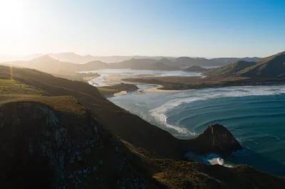 Watch blue penguins up close at pukekura, spot albatross and seals, and learn otago peninsula’s stories with a local guide. includes pickup and expert-led walks.