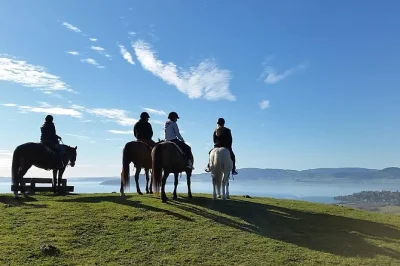 Breathe in the fresh rotorua air as you ride gentle horses through farmland, up to a lookout with lake rotorua views. includes guide, safety gear, and flexible start times.