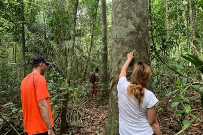 Manaos, delfines rosas, pesca de pirañas y trekking por la selva amazónica. tour de un día con guía local, almuerzo típico y recogida en hotel incluida.