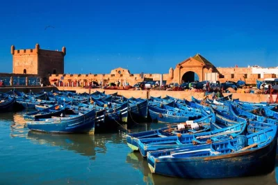 Feel the atlantic breeze in essaouira’s medina, watch the fishing boats come in, taste grilled sardines at the port, and visit a women’s argan oil cooperative. includes pickup.