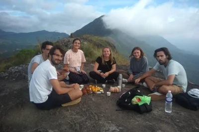 Explore as plantações de chá, trilhas na floresta e campos de cardamomo em munnar com guia local. café da manhã no topo e entradas inclusas.