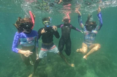 Feel the ocean at macuco island with snorkeling, underwater photos, and a relaxed boat ride from zimbros. includes all gear, certified guide, and safe for beginners.