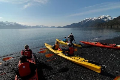 Descubre seward con un guía local, navega en kayak por resurrection bay desde una playa privada, observa nutrias marinas y águilas calvas, con equipo y traslados incluidos.