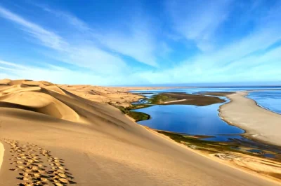Feel the rush of a 4x4 adventure at sandwich harbour, spot wild birds, and watch dunes meet the ocean. includes cruise ship pickup and drinks along the way.