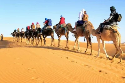 Découvrez le maroc entre marrakech et fès : kasbahs ancestrales, villages berbères, trek à dos de chameau dans le sahara, nuit en camp et repas locaux inclus.